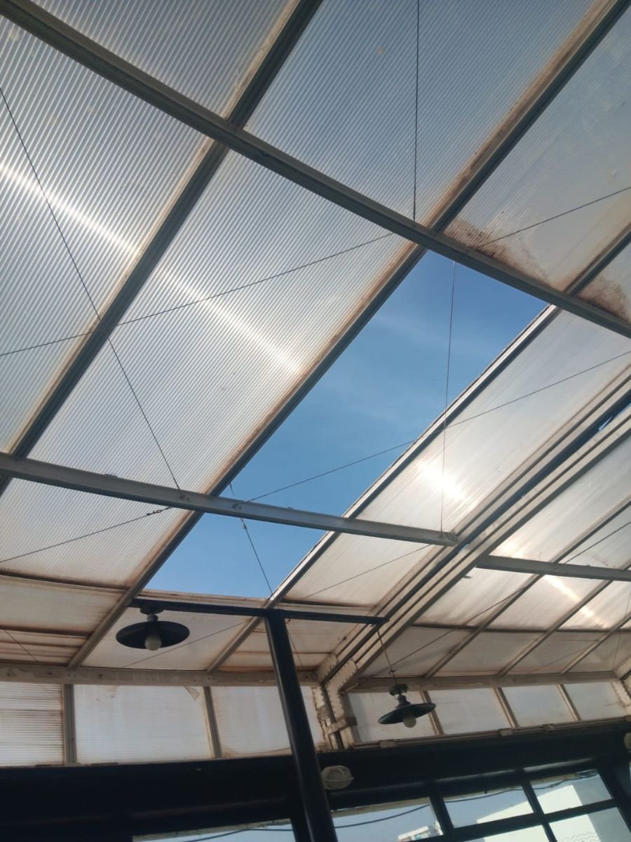 IBS - Antes y Despues (7)