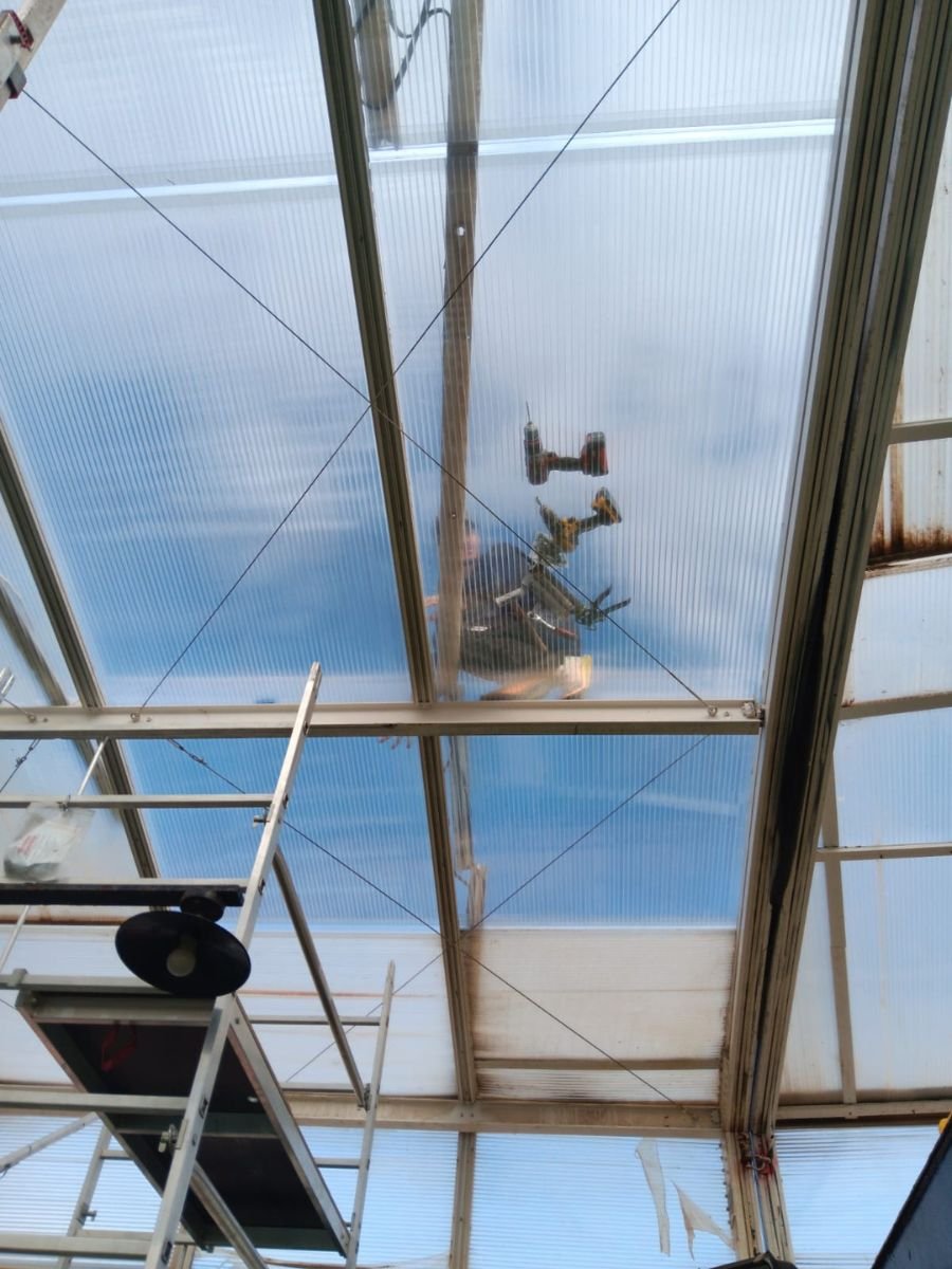 IBS - Antes y Despues (8)